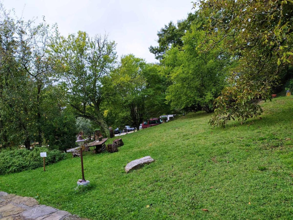 Agriturismo Montesalce Gubbio Luaran gambar