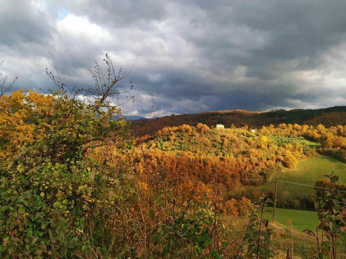 Agriturismo Montesalce Gubbio Luaran gambar