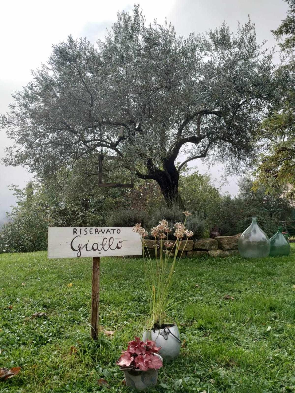 Agriturismo Montesalce Gubbio Luaran gambar